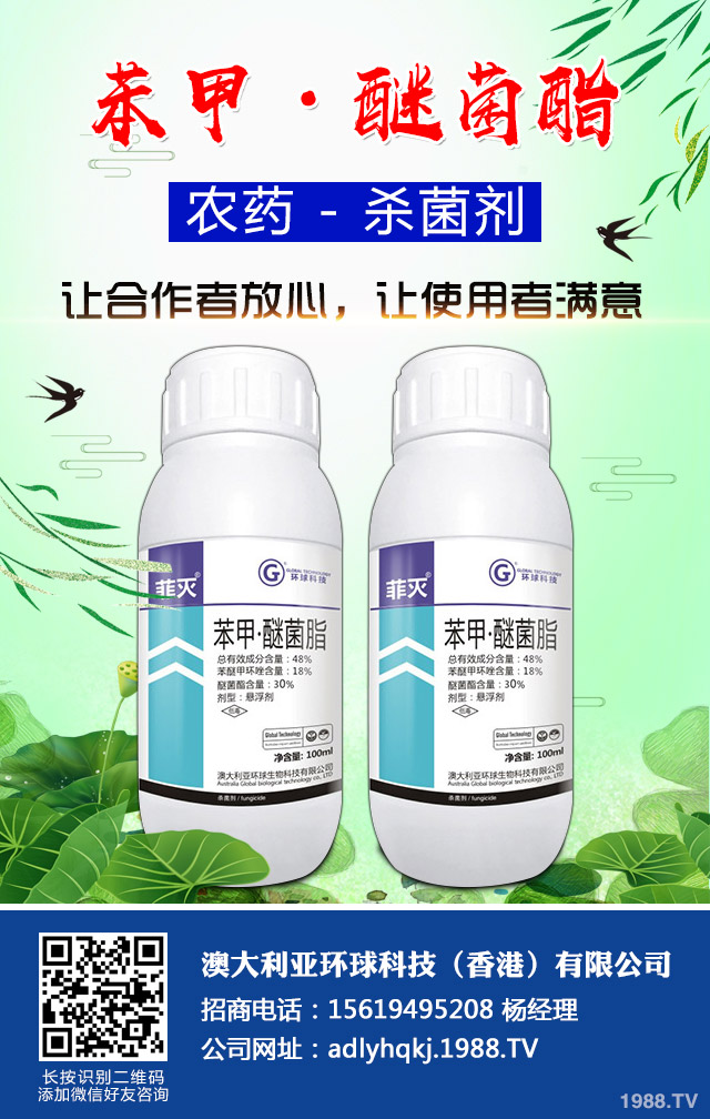 桂花根瘤病怎么辦？桂花根瘤病防治要點