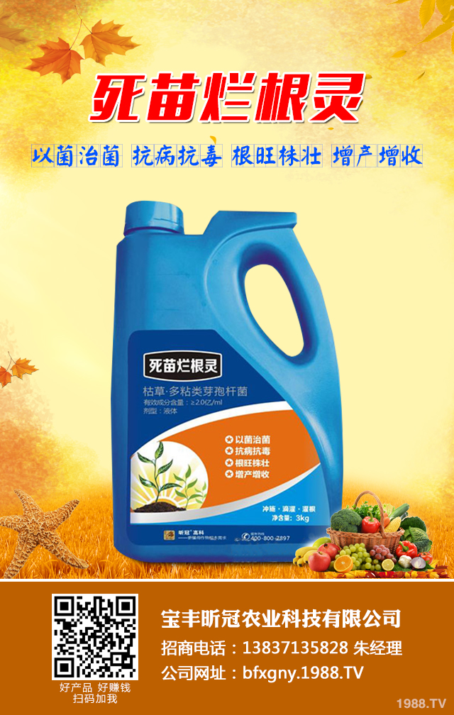 如何去除甘薯常見病蟲害？甘薯常見病蟲害防治技巧