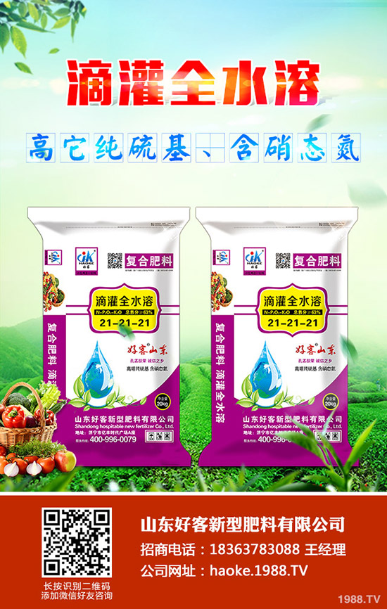 甜瓜怎樣管理，甜瓜高效管理栽培！