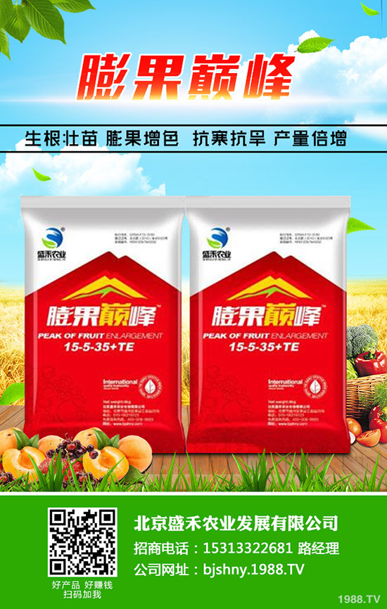 油菜什么季節(jié)種植，油菜從種植到豐收需要多久？