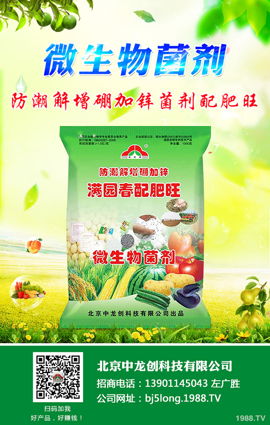 柑橘什么時(shí)候種植更好？柑橘的栽培要點(diǎn)有哪些？