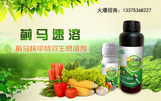 【山東強農(nóng)生物】祝愿一路陪伴的朋友們身體健康,萬事如意!