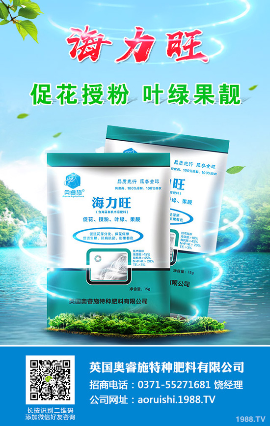 現(xiàn)在種植沙糖桔還賺錢嗎？沙糖桔種植技術(shù)大全
