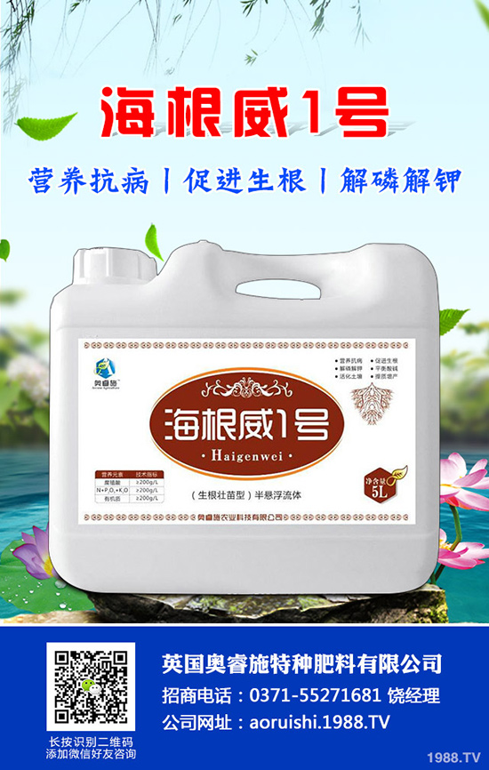 如何種植羊角蜜才能高產(chǎn)？羊角蜜種植時(shí)間和種植方法