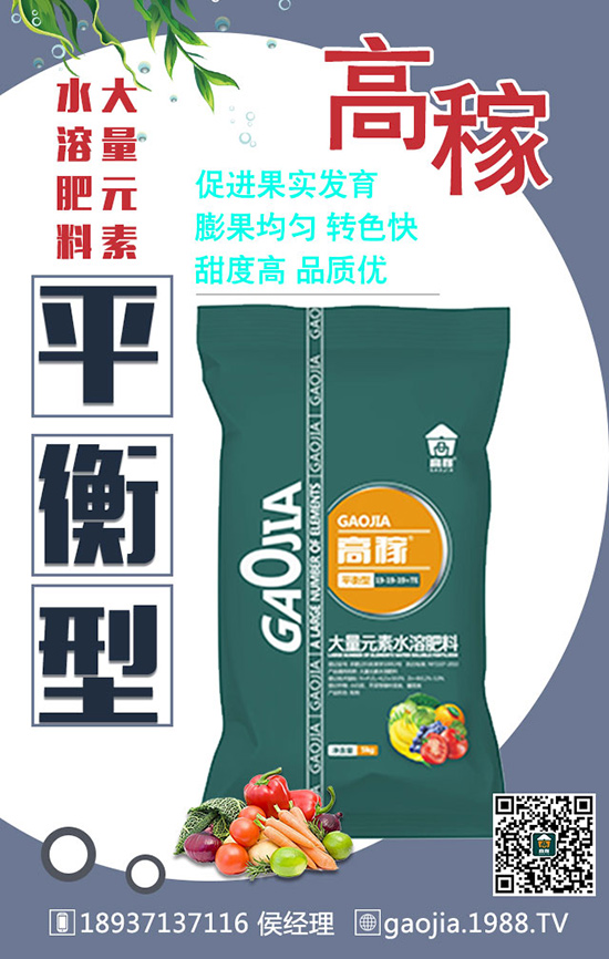 如何正確的給甜瓜施肥？怎么施肥？施什么肥？