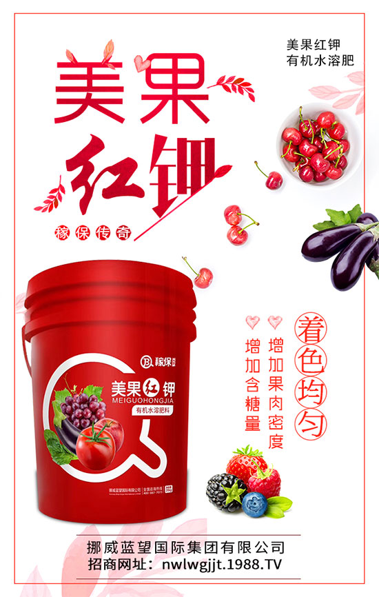茄子炭疽病有哪些危害？茄子炭疽病怎么防治？