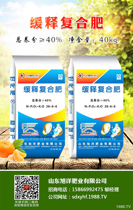 芹菜軟腐病來襲，到底該如何防治？芹菜軟腐病的危害與防治