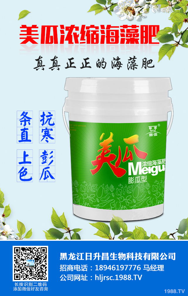 2020年種植什么蔬菜能掙錢？2020年蔬菜種植前景分析