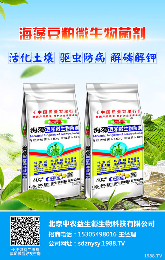     2020元旦期間尿素價(jià)格回升！1月初尿素行情走勢(shì)預(yù)測(cè)！