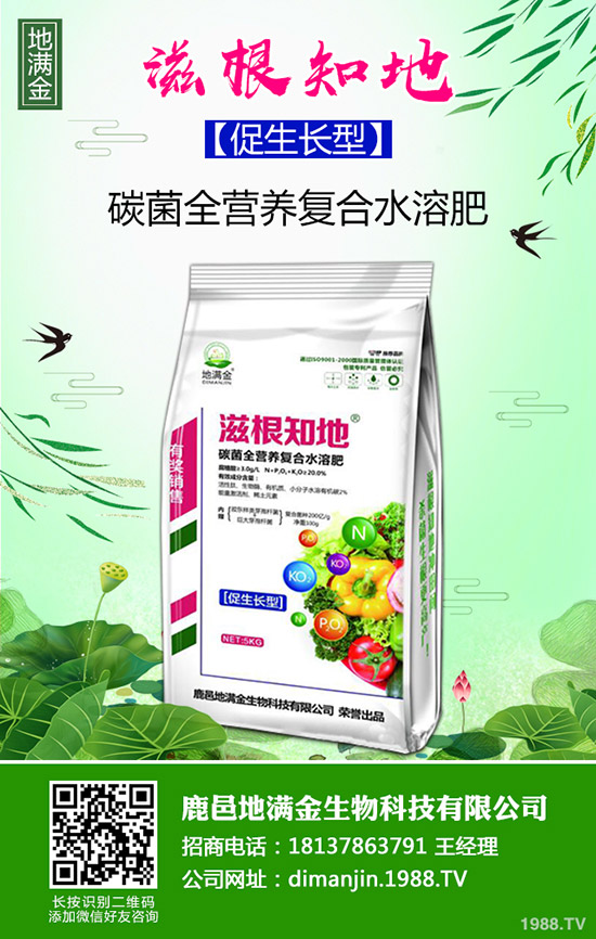 2020年1月3日復(fù)合肥行情依舊平淡!復(fù)合肥最新價格早報!
