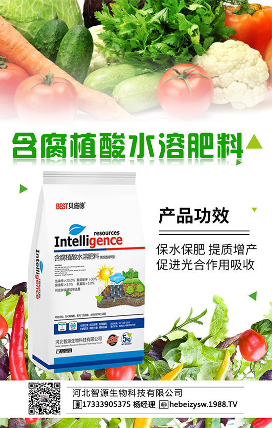 冬瓜要想吃不完，要學(xué)會(huì)冬瓜的科學(xué)種植！