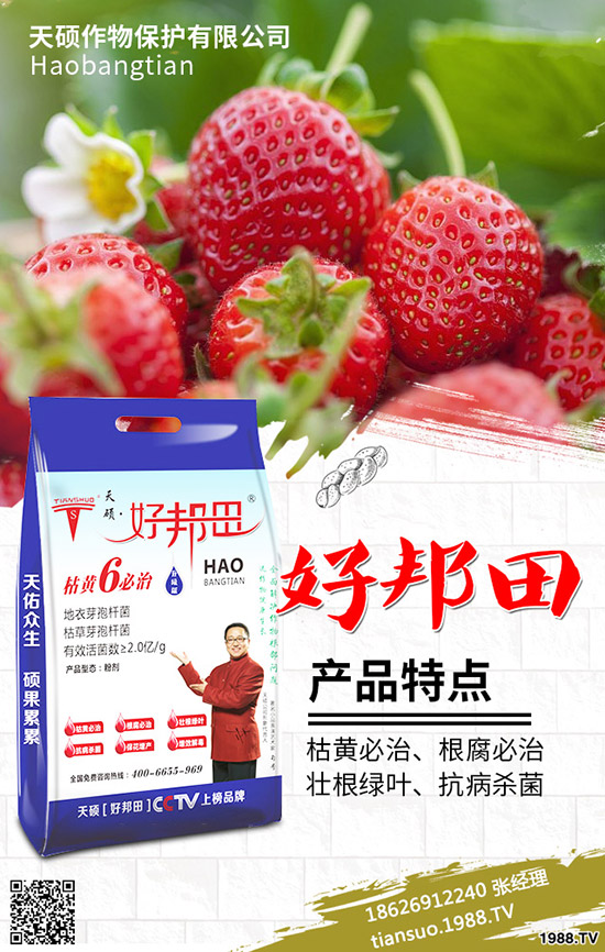 2020年農(nóng)村種植什么水果賺錢(qián)？哪些種果樹(shù)品種比較好？