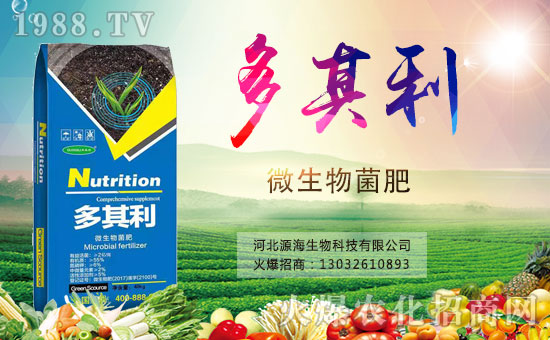 【河北源!孔4蠹倚履昕鞓罚腋i_心,年年有福!