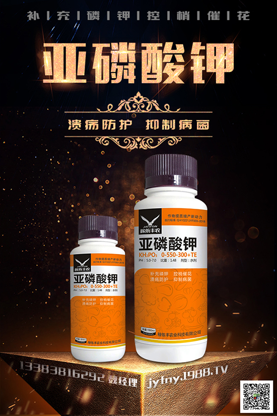 2020種黑番茄賺錢嗎？黑番茄的種植方法有哪些？