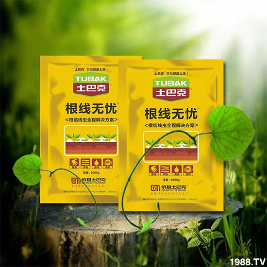 【僑基生物】祝全國(guó)朋友身體健康,萬事如意!