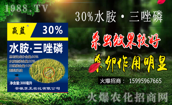 水稻鉆心蟲(chóng)防治難點(diǎn)有哪些？水稻鉆心蟲(chóng)危害及防治要點(diǎn)！