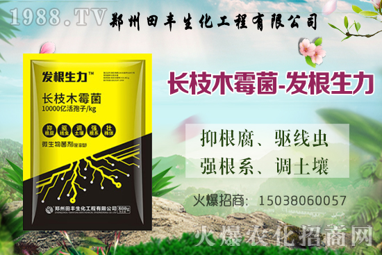小麥漲價了！今日小麥價格穩(wěn)中偏強，部分地區(qū)繼續(xù)上漲！