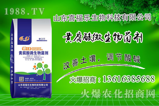 花生價(jià)格穩(wěn)中偏強(qiáng)！2020年10月14日花生價(jià)格行情分析