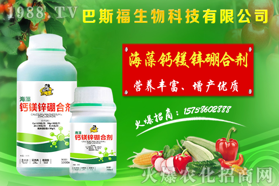 節(jié)后麥?zhǔn)辛魍ㄆ?,小麥價格整體偏強運行!