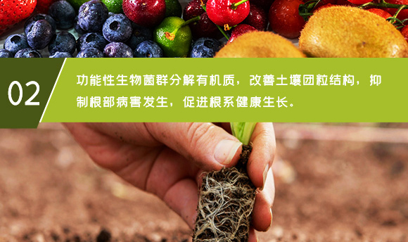 黑曲火山硅鈣-好施貝力-好施特_06