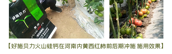 黑曲火山硅鈣-好施貝力-好施特_13