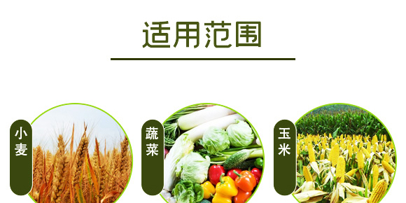 黑曲火山硅鈣-好施貝力-好施特_10