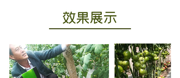黑曲火山硅鈣-好施貝力-好施特_12
