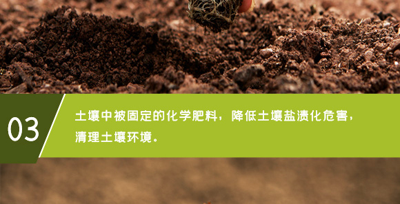 黑曲火山硅鈣-好施貝力-好施特_07