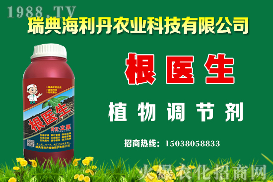 油菜怎么管理能提高產(chǎn)量？油菜抗寒防凍措施有哪些？