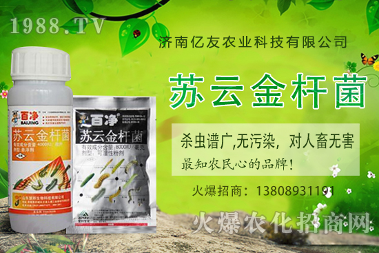 黃桃種植應(yīng)該注意哪些事項(xiàng)？黃桃種植時間及田間管理！