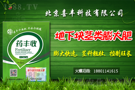     小麥價(jià)格還能繼續(xù)上漲嗎？2021春節(jié)前小麥價(jià)格預(yù)測(cè)！