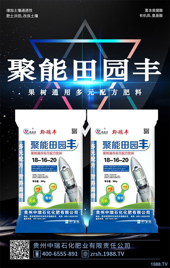 雷丸又稱(chēng)竹鈴芝、雷實(shí)、竹苓、竹兜菌,是一種常用的藥用菌,與茯苓、豬苓并列為“三苓”。具有殺蟲(chóng)消積的功效,常用于絳蟲(chóng)、鉤蟲(chóng)、蛔蟲(chóng)、蟲(chóng)積、小兒疳積等病癥?,F(xiàn)今市場(chǎng)雷丸供藥多以野生為主,而人工目前少有栽培;雷丸種植對(duì)環(huán)境要求比較苛刻,喜溫暖氣候地區(qū),以林中潮濕潤(rùn)地為宜,但田間管理簡(jiǎn)易,只需注意溫度和干旱就行。那么,雷丸該怎么種?雷丸的種植方法及田間管理要點(diǎn)有哪些呢?