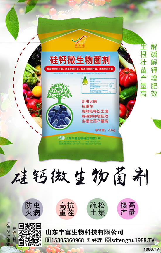 花生如何選種？花生怎么種植能高產(chǎn)？