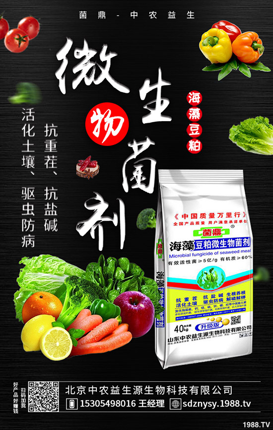     春季用肥基本結(jié)束，最新鉀肥價格走勢預(yù)測2020-4-13