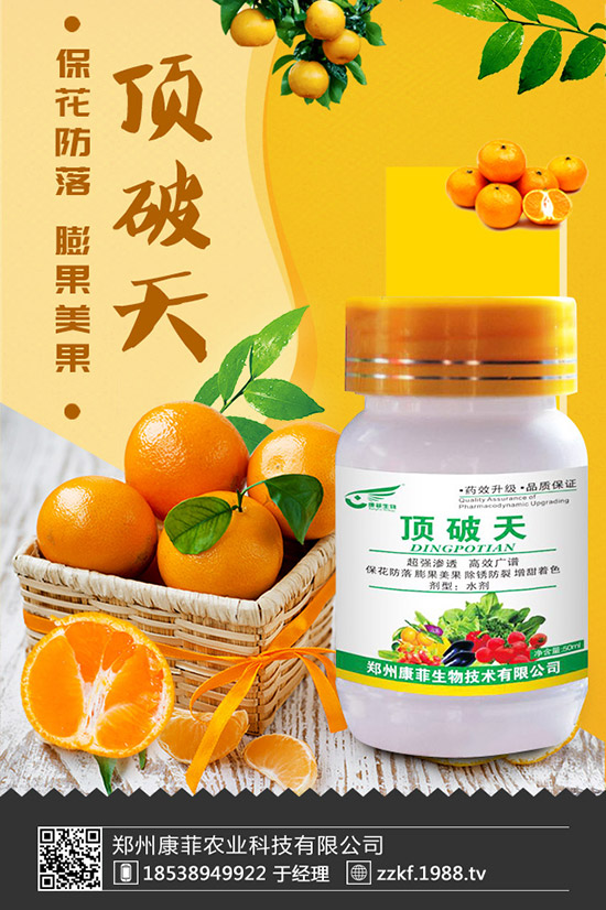 菜豆怎樣施肥才能高產(chǎn)？菜豆需肥特點(diǎn)與施肥技術(shù)！