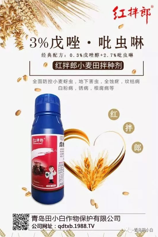 玉米為什么要拌種？玉米二次拌種及注意事項(xiàng)！