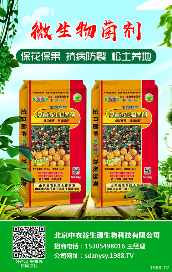 磷酸二銨價(jià)格價(jià)格松動下滑!最新二銨行情走勢分析2020-4-25