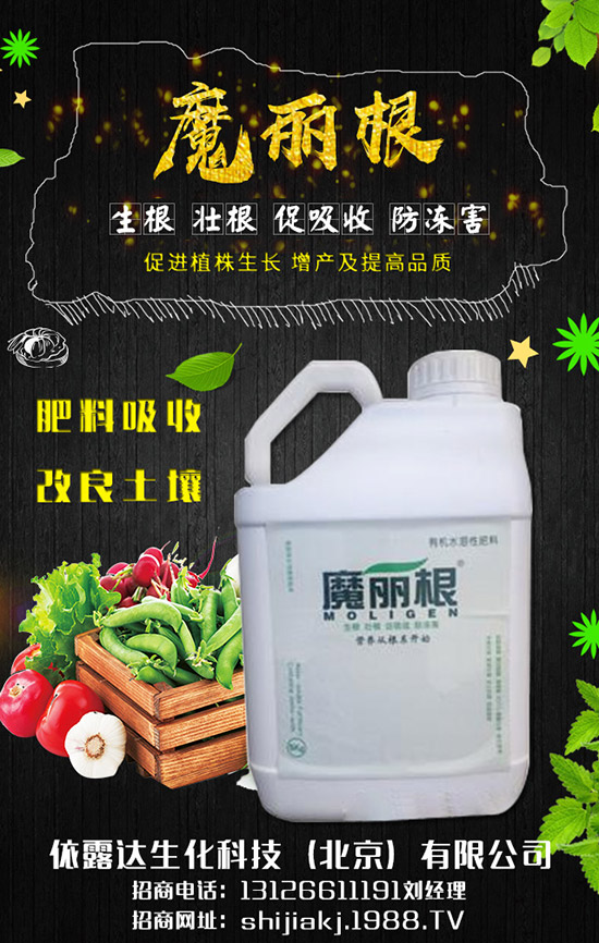 香蔥對(duì)環(huán)境的要求有哪些，香蔥的種植季節(jié)及日常管理！