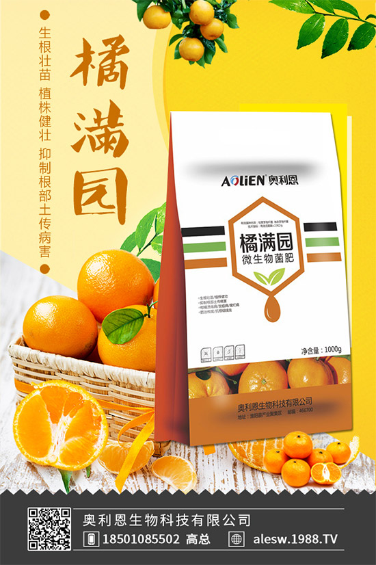 怎么區(qū)別大茴香和小茴香?茴香種植注意事項!
