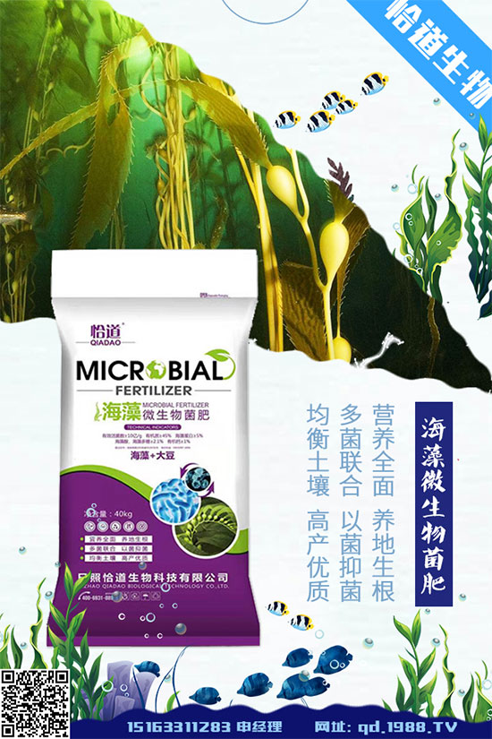 花生什么時間種植？花生高產(chǎn)種植方法！