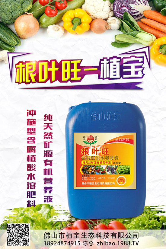 春胡蘿卜抽薹是什么原因？該如何預(yù)防？春胡蘿卜抽薹的原因分析及預(yù)防措施