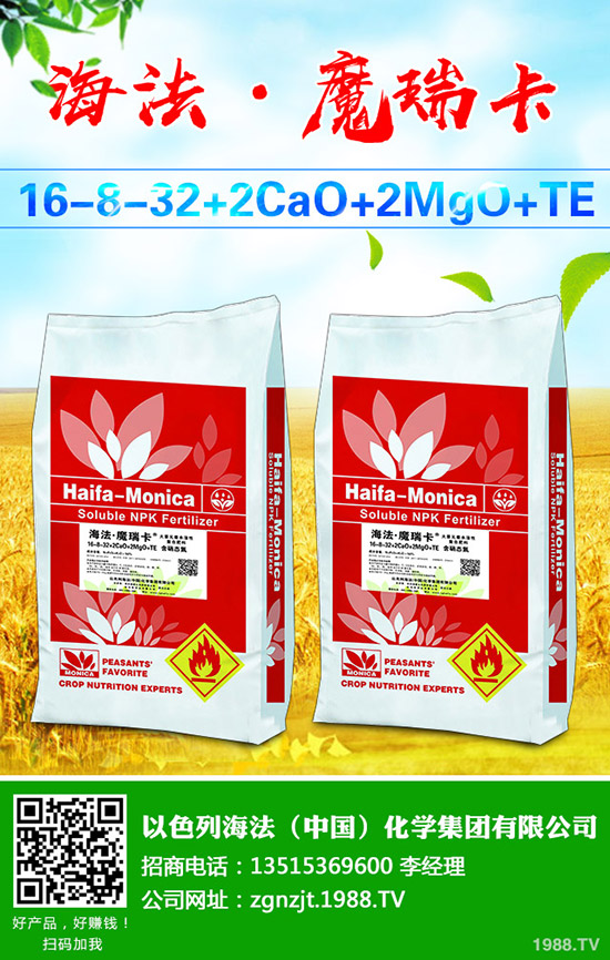     葡萄樹勢(shì)旺長(zhǎng)發(fā)生原因有哪些？該怎么辦？葡萄的夏季控旺技術(shù)！