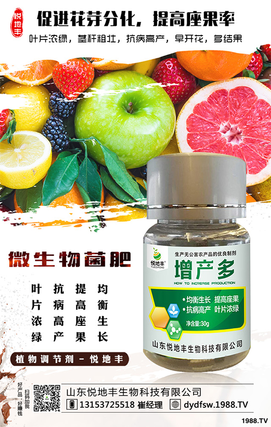 冰菜該如何栽培？怎樣種植能高產(chǎn)？冰菜的高產(chǎn)栽培技術(shù)