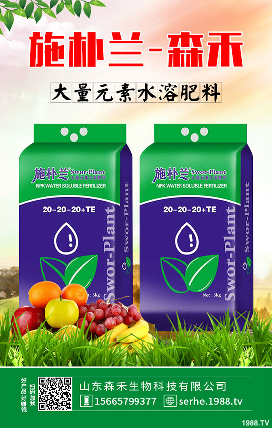 馬鈴薯價(jià)格不斷升高，能否繼續(xù)堅(jiān)挺？2020年馬鈴薯種植前景分析
