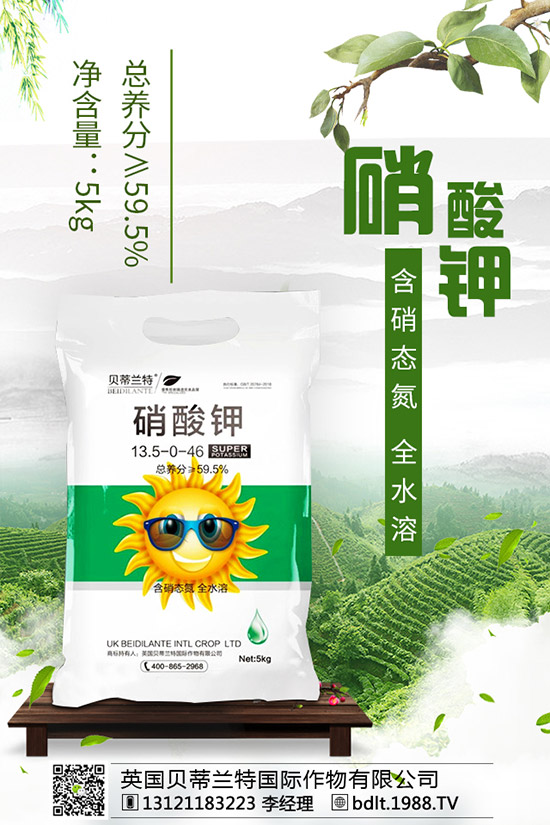 番茄空心果是怎么回事？如何做可以避免番茄空心？