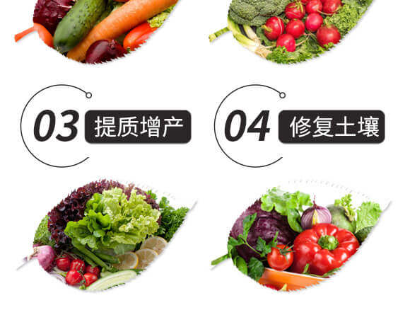 結(jié)晶腐植酸鉀-天壤一號-黑色生態(tài)_05