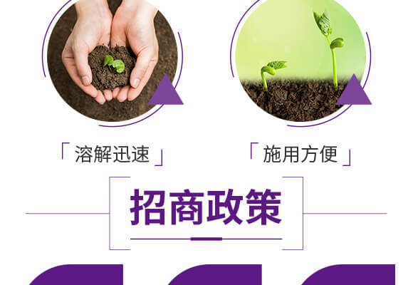 水溶性復(fù)合肥料12-43-5-伊可豐-海法_05