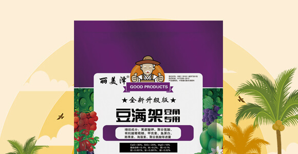 豆角專用豆?jié)M架-麗美澤-中農(nóng)恒大_02