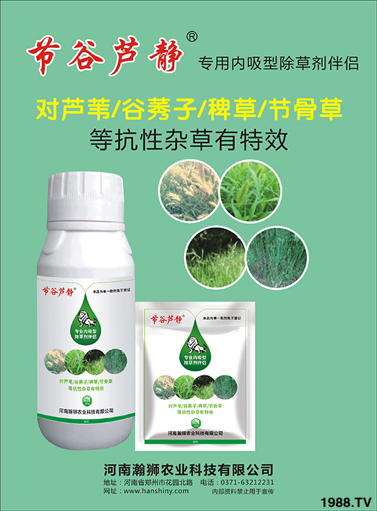 專業(yè)內吸性除草劑伴侶-節(jié)谷蘆靜-瀚獅農業(yè)