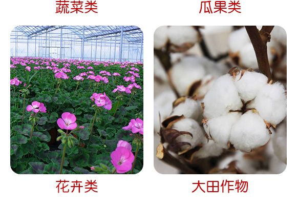 廣西新啟力生態(tài)科技有限公司產(chǎn)品詳情頁2_08